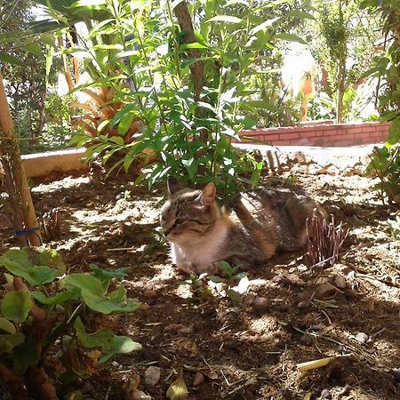 Auberge Le Jardin De La Source Ait Ben Ali Luaran gambar